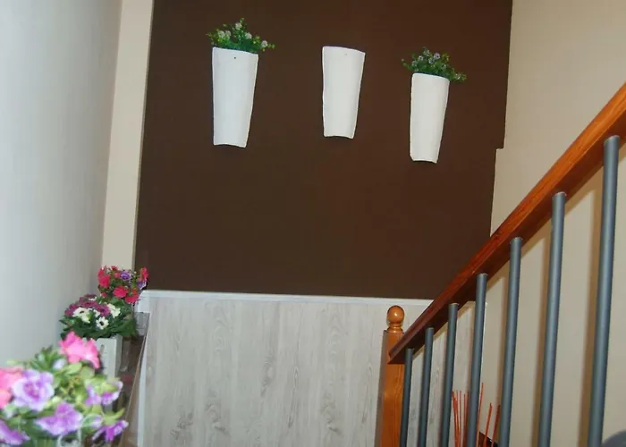Casa Tambor *